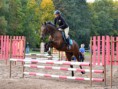 /album/sumperk-10-10-2015-derby/a12095297-493088074204181-7820080311732684269-o-jpg/