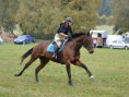 /album/sumperk-10-10-2015-derby/a12113467-493213024191686-5855591846459232599-o-jpg/