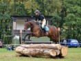 /album/sumperk-10-10-2015-derby/a12140116-493088234204165-1822823105352373337-o-jpg/